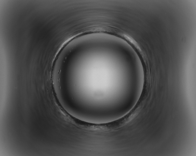 X0000087011089200704161537