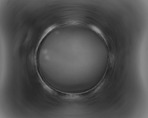 X0000087011090200704161537