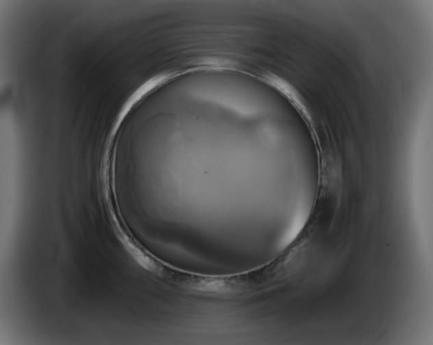X0000087011098200704161537