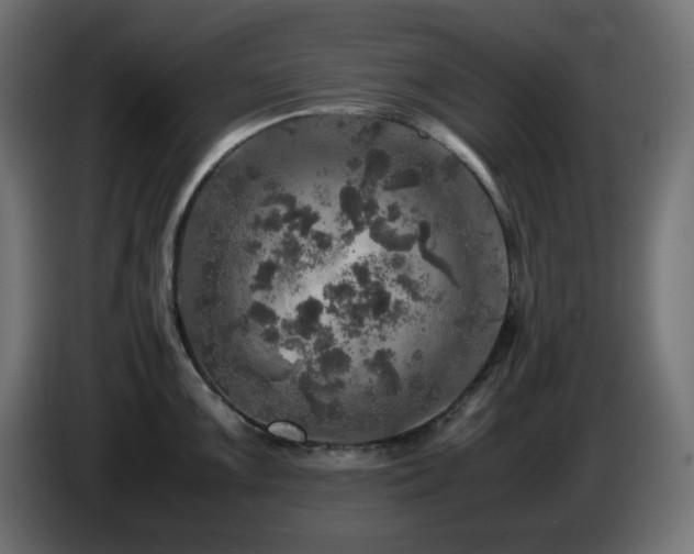 X0000087011099200704161537