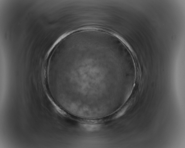 X0000087011101200704161537