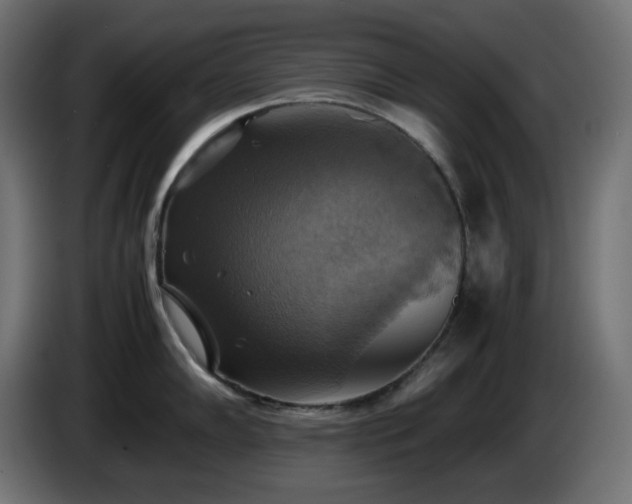 X0000087011102200704161537