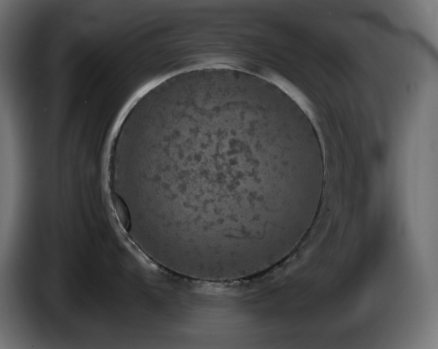 X0000087011104200704161537