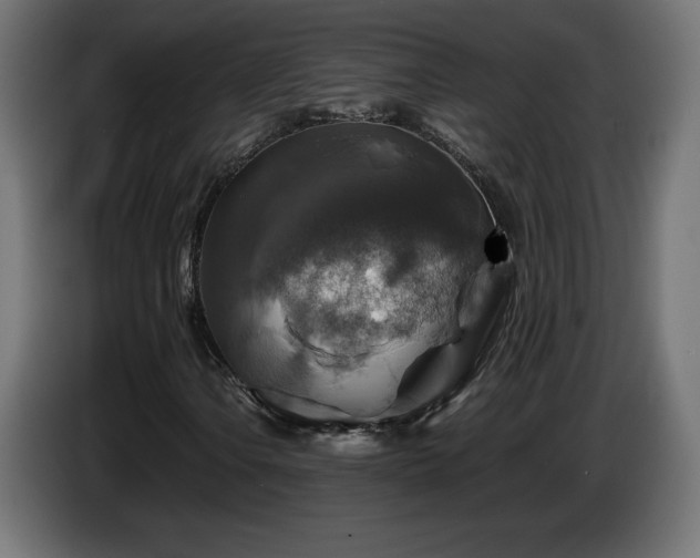 X0000087011106200704161537