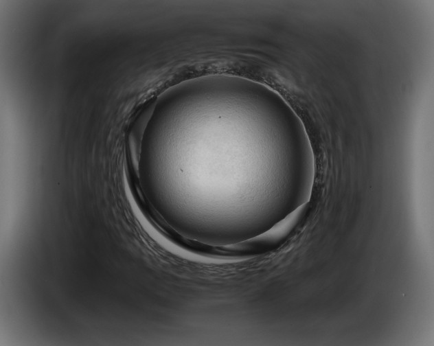 X0000087011109200704161537