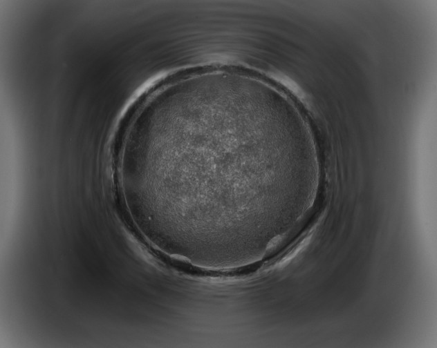 X0000087011118200704161537