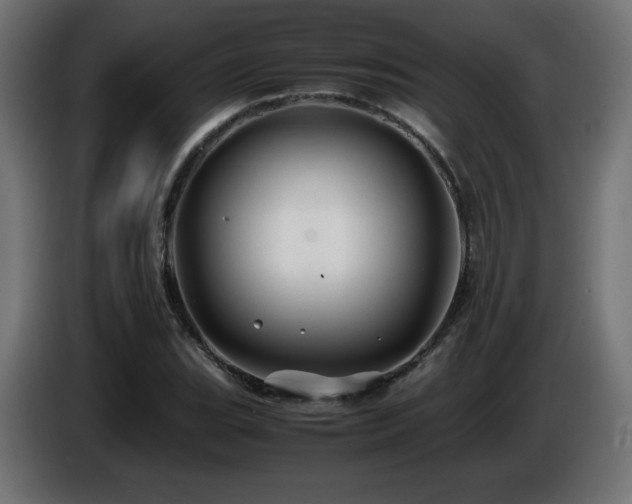 X0000087011119200704161537