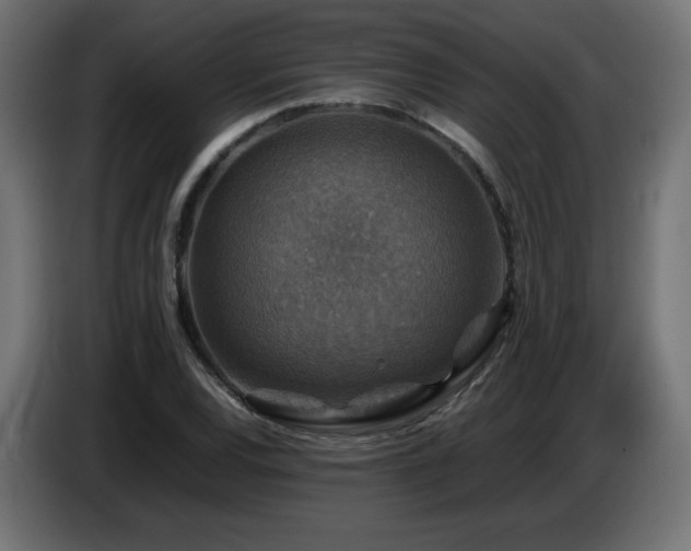 X0000087011120200704161537