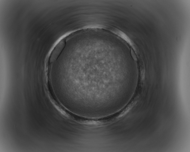 X0000087011124200704161537
