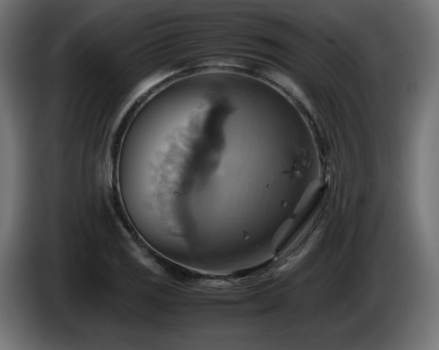 X0000087011125200704161537