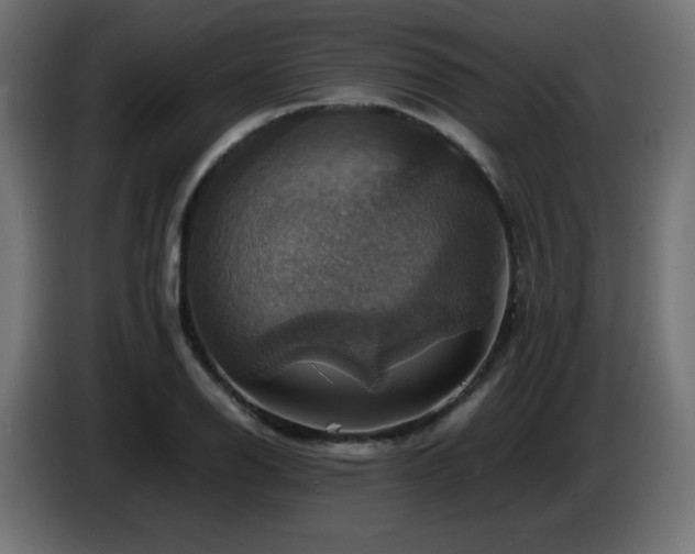 X0000087011126200704161537