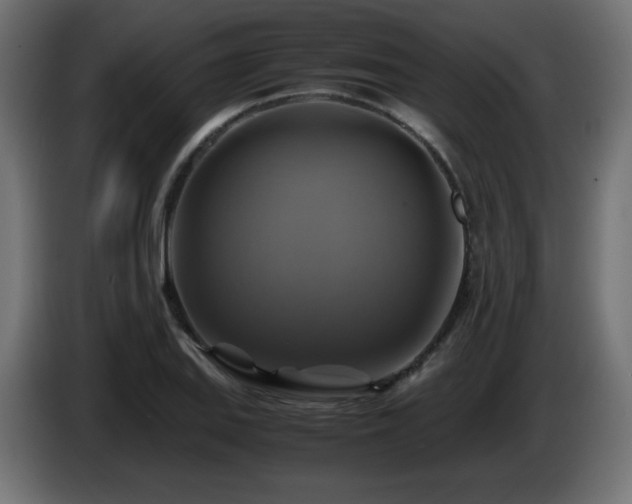 X0000087011127200704161537
