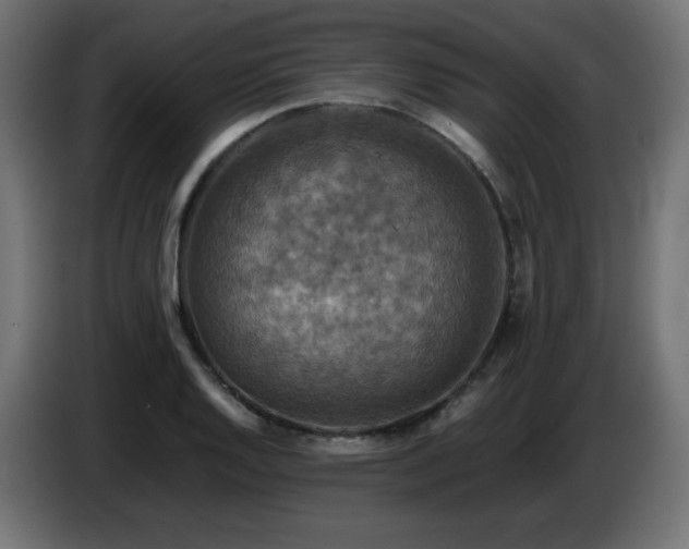 X0000087011128200704161537