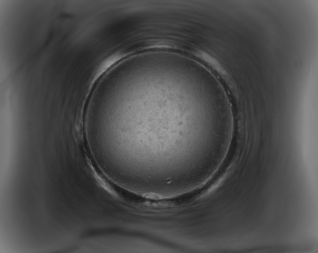 X0000087011129200704161537
