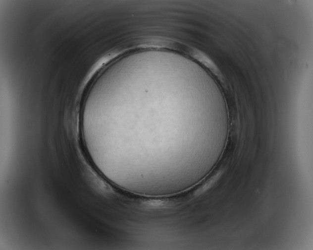 X0000087011130200704161537