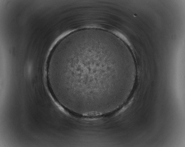X0000087011133200704161537