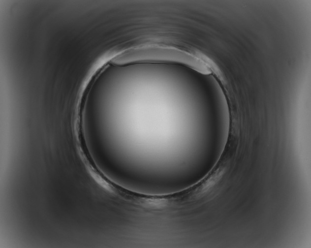 X0000087011136200704161537