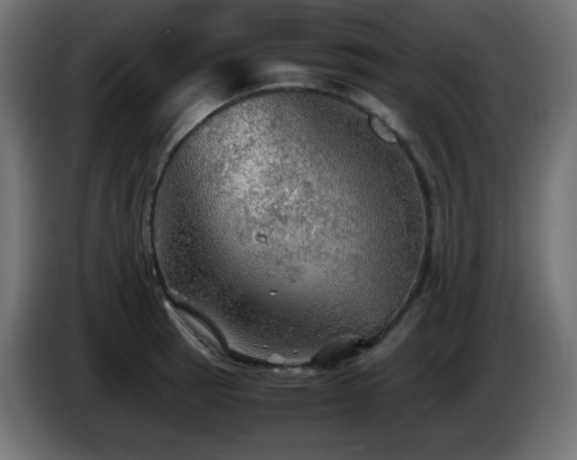 X0000087011137200704161537