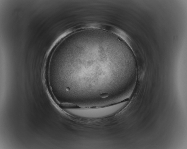 X0000087011139200704161537