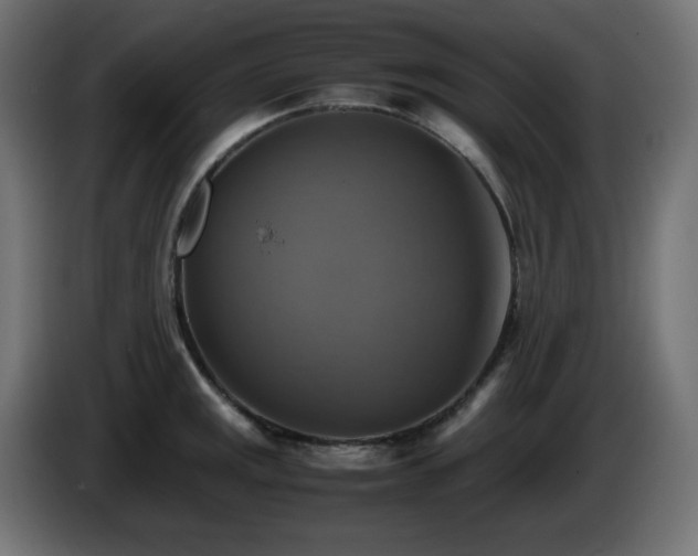 X0000087011141200704161537