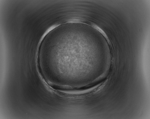 X0000087011146200704161537