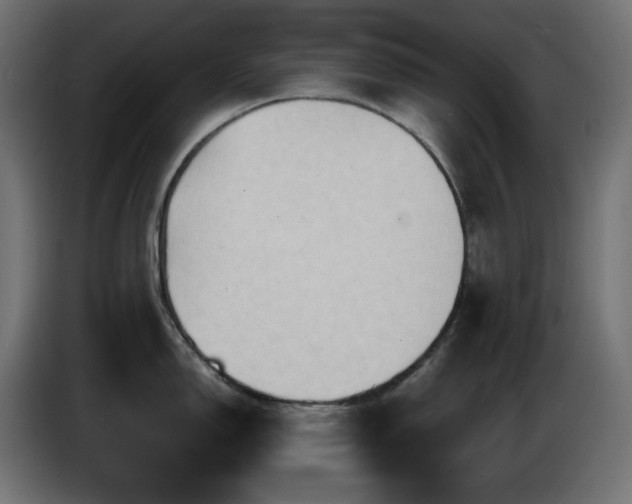 X0000087011150200704161537