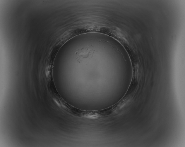 X0000087011154200704161537