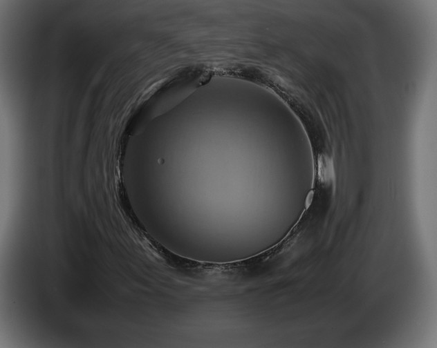 X0000087011155200704161537