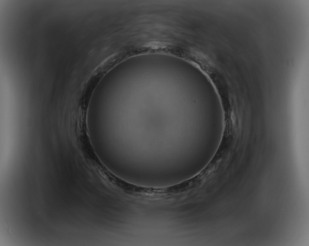 X0000087011158200704161537