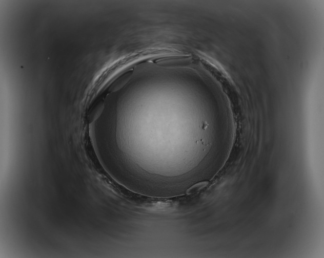 X0000087011160200704161537