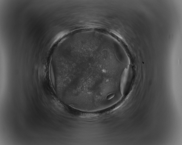 X0000087011163200704161537