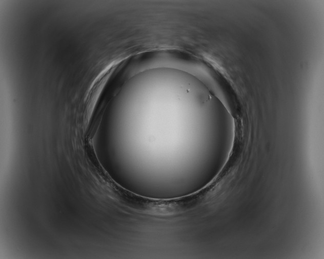 X0000087011165200704161537
