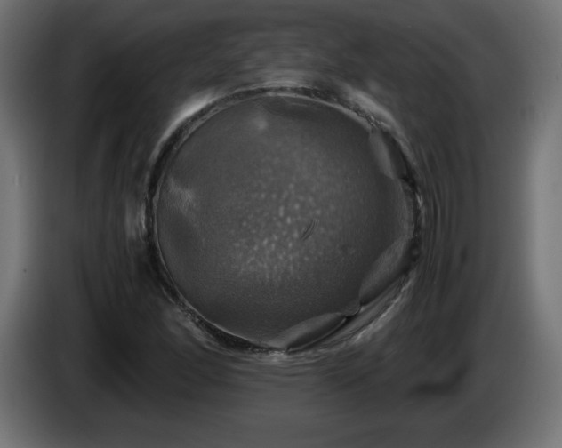 X0000087011166200704161536
