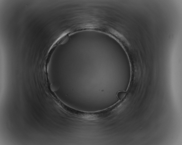 X0000087011170200704161536