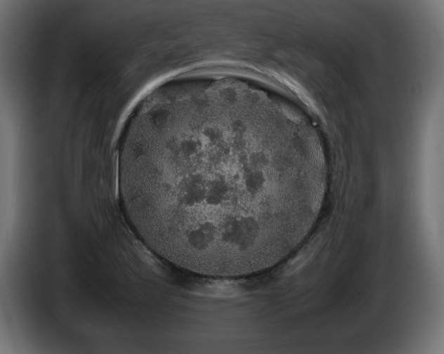 X0000087011175200704161536