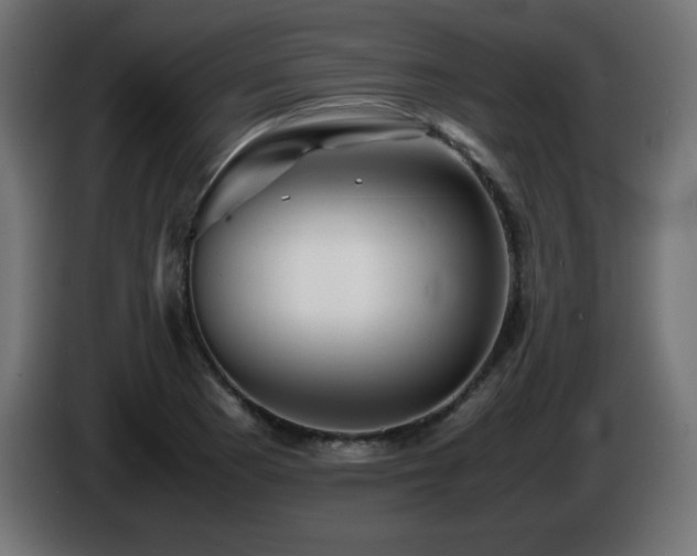 X0000087011177200704161536