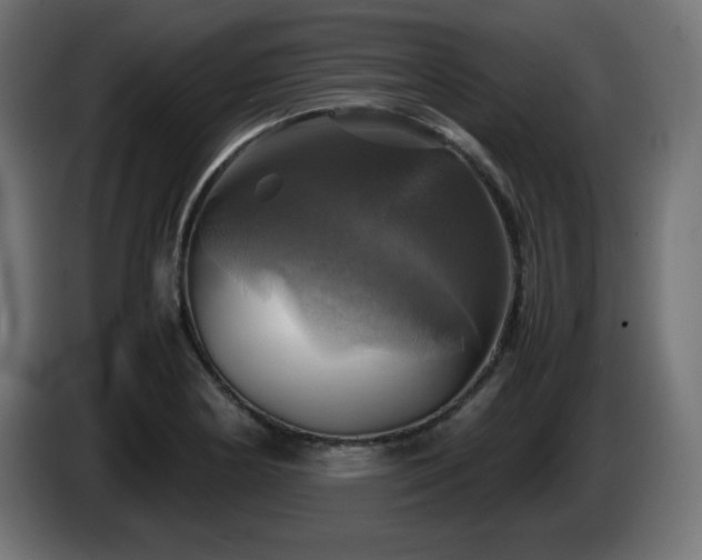 X0000087011178200704161536
