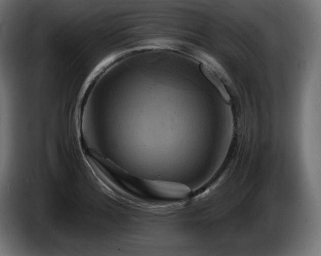 X0000087011180200704161536
