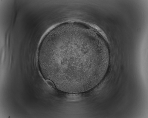 X0000087011183200704161536