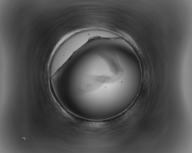 X0000087011184200704161536
