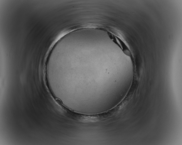 X0000087011187200704161536