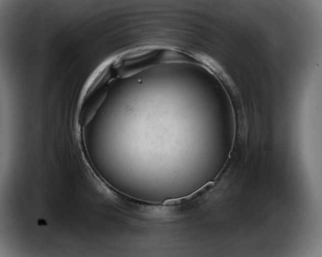 X0000087011188200704161536