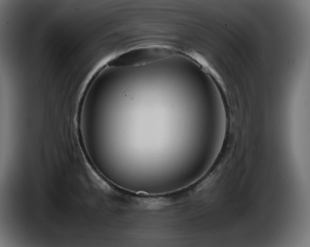 X0000087011189200704161536