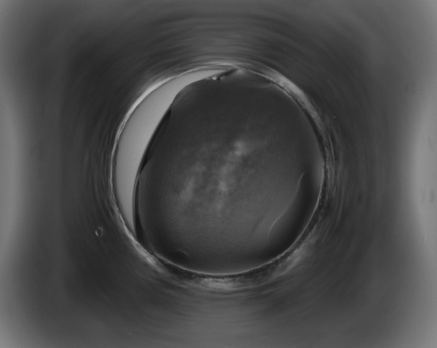 X0000087011194200704161536