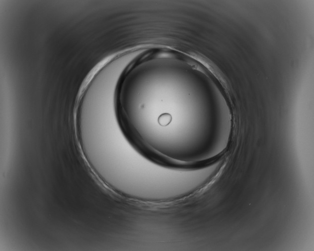 X0000087011196200704161536