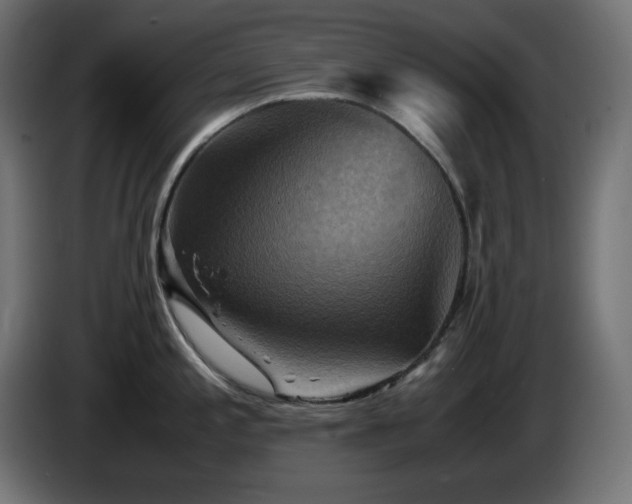 X0000087011197200704161536