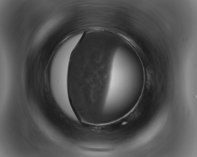 X0000087011198200704161536
