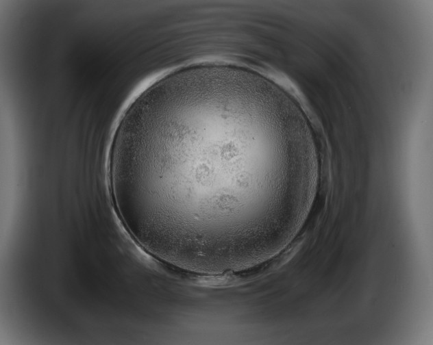 X0000087011199200704161536