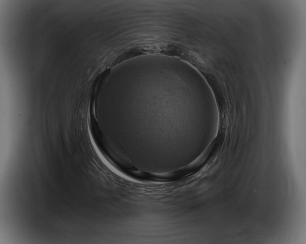 X0000087011202200704161535