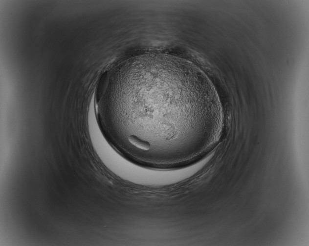 X0000087011204200704161535